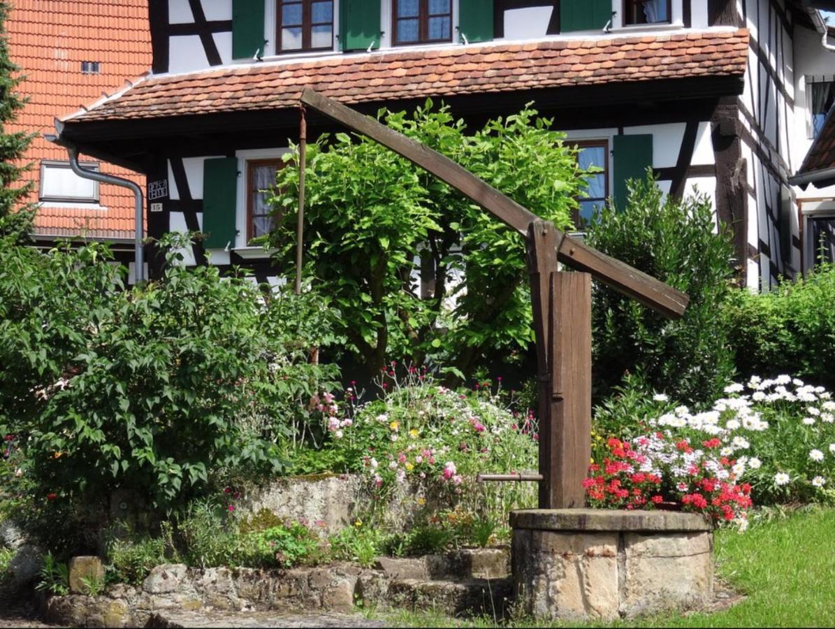 Gîtes et chambres d'hôtes Maison Ungerer Hunspach Exterior foto