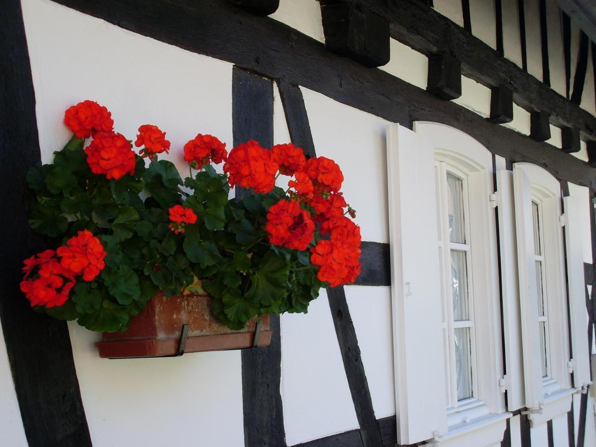 Gîtes et chambres d'hôtes Maison Ungerer Hunspach Exterior foto